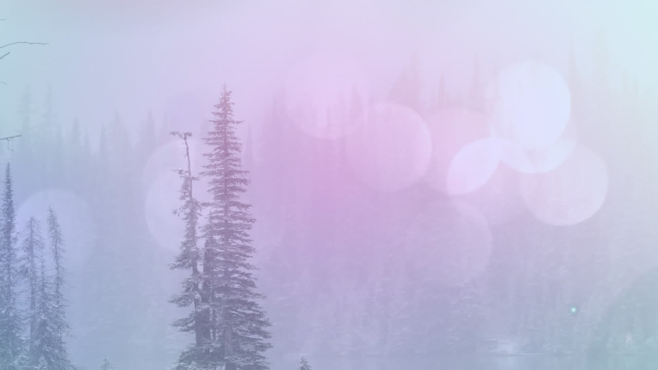 겨울 풍경 위에 빛나는 반점의 애니메이션