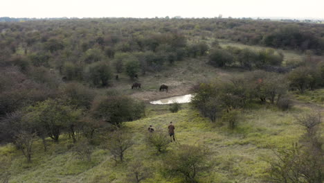 two men using a drone to document a european bison herd,steppe,czechia