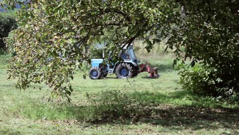 farmer in blue tractor cutting grass in summertime