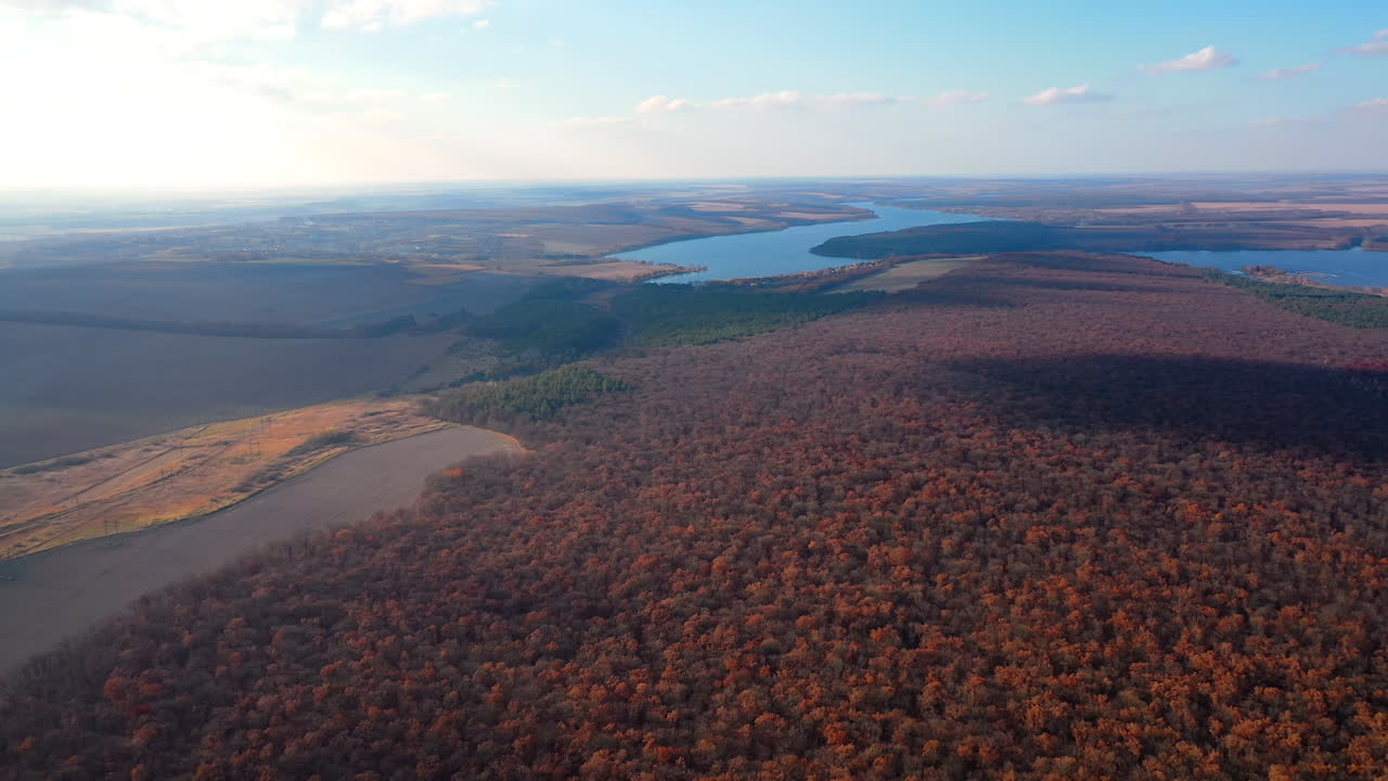 Drone view of tree forest and lake. Aerial view of autumn season landscapes.