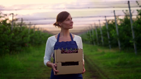 Empresario-Que-Posee-Productos-De-Cultivo-De-Cerezas-En-El-Huerto-Del-Jardín-Al-Atardecer.