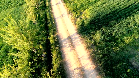 empty dirt road at countryside. aerial view.
