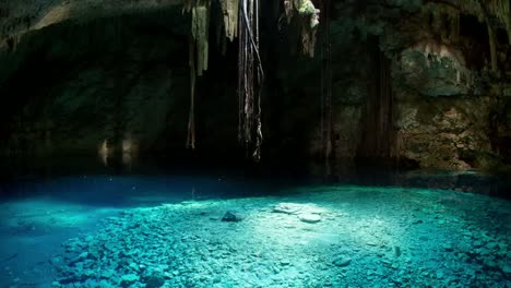 Cenote-Crystal-06