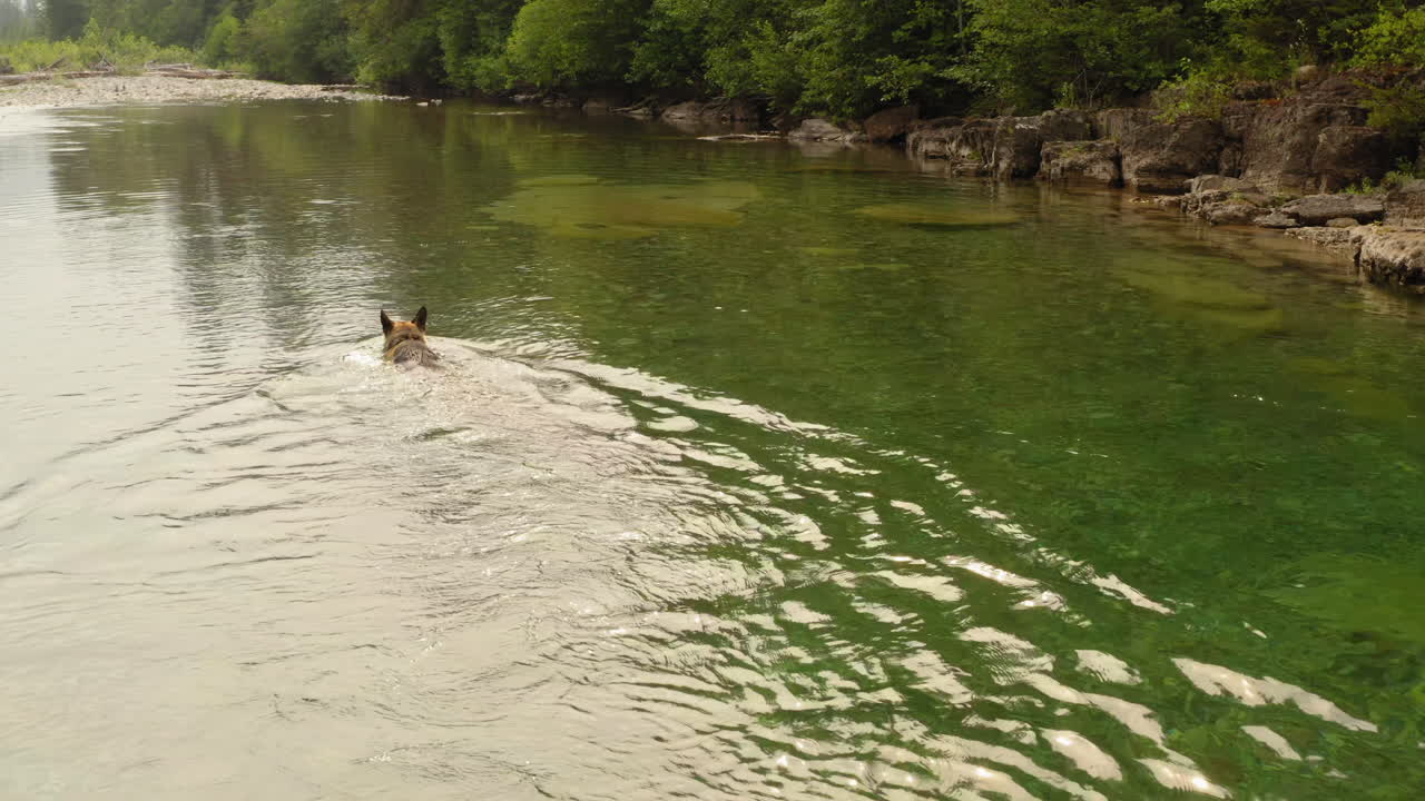 공중 팔로우 샷