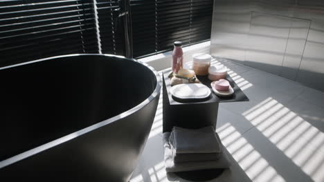modern spa bathroom with black bathtub