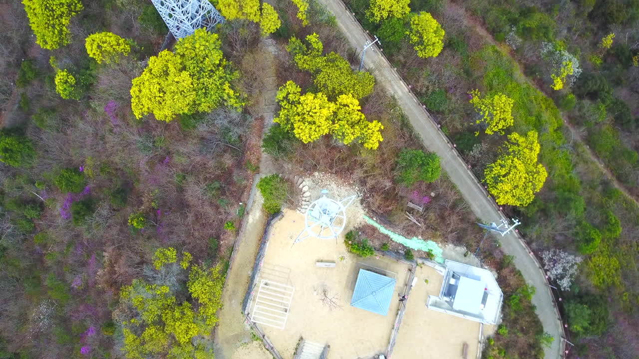 Aerial View of a Tower in a Forest with Yellow and Purple Flowers