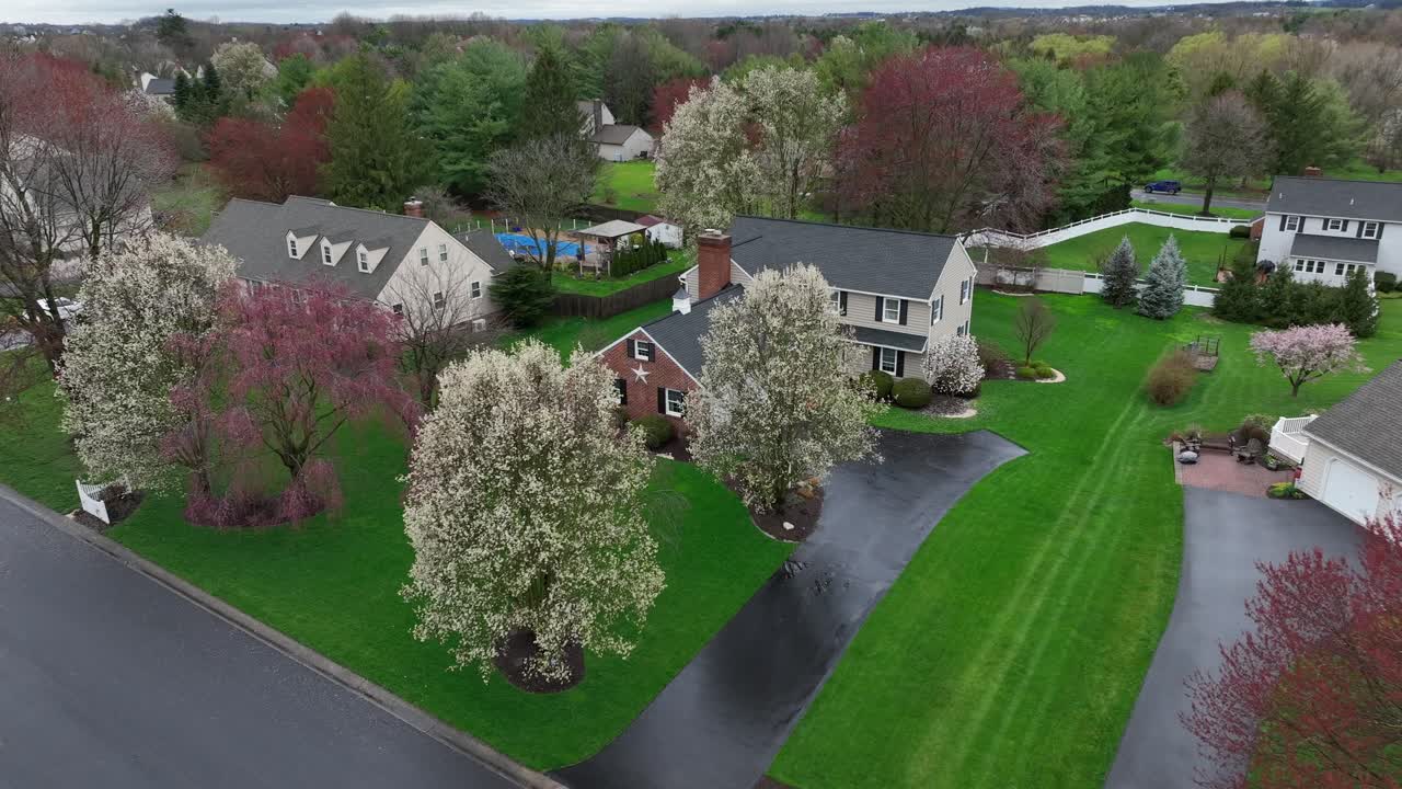 Aerial view of upper class homes in suburb of America with blooming trees