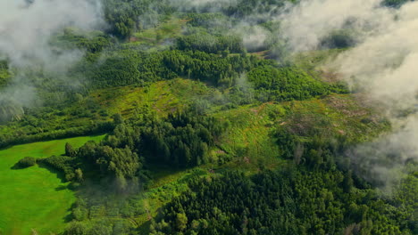 lush green forest and fields from above with misty clouds drifting over the landscape