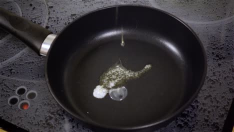 fried egg. raw egg on the frying pan in slow motion.