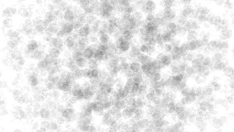 las partículas negras borrosas aisladas abstractas se están moviendo con bokeh. puntos circulares brillantes movimiento animación 3d.