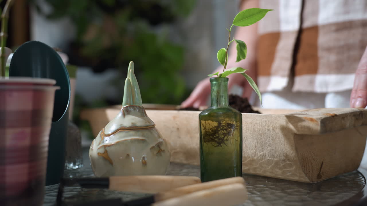 Blurry lower view of female gardener hands resting on wooden toolbox with indoor gardening tools, young potted plants in bucket and glass bottle arranged on round glass table by brick wall