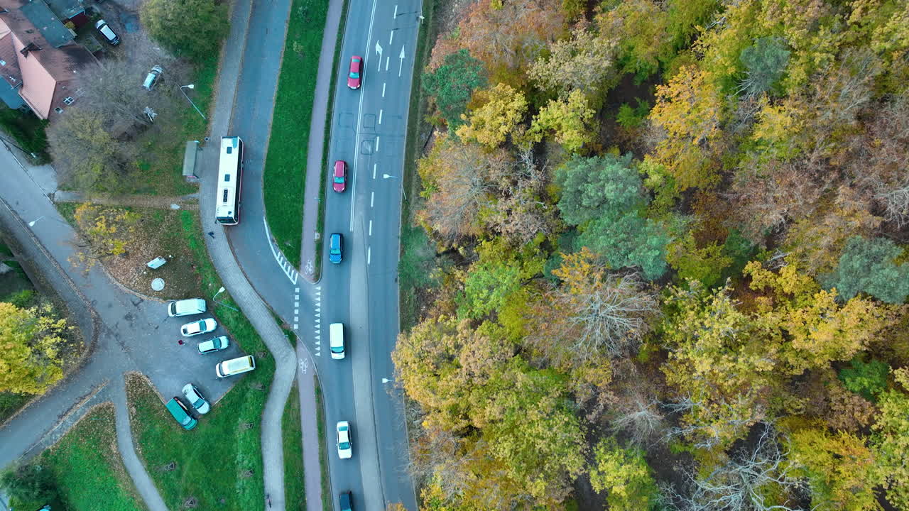 Aerial perspective showing cars on a divided road bordered by bright autumn tree canopies