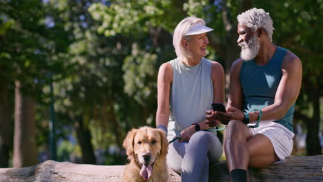 senior couple enjoying park with golden retriever