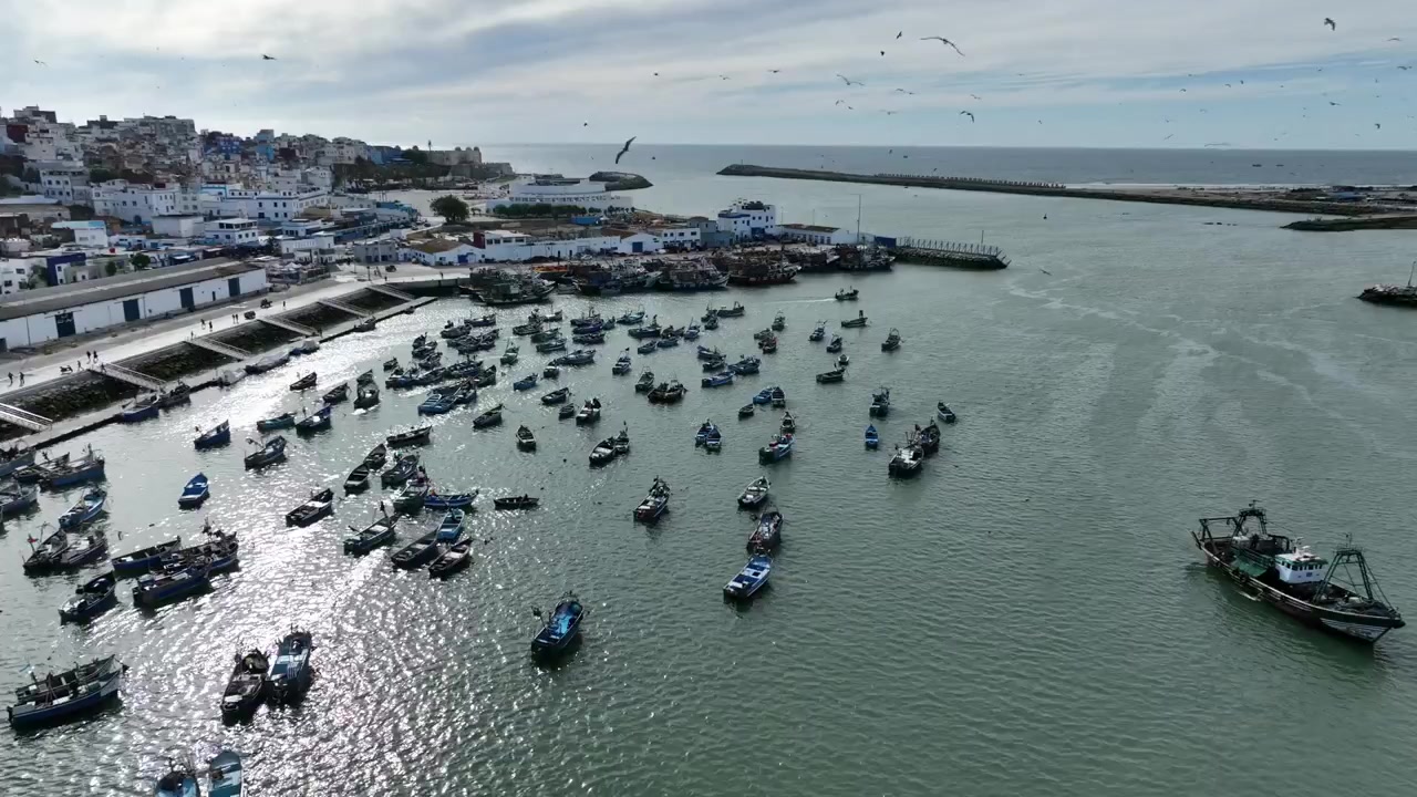 Vista aerea di un trafficato porto peschereccio atlantico in Marocco, con decine di piccole imbarcazioni, un peschereccio in attività e uccelli marini che rivelano l'intensa pesca costiera nel Nord Africa