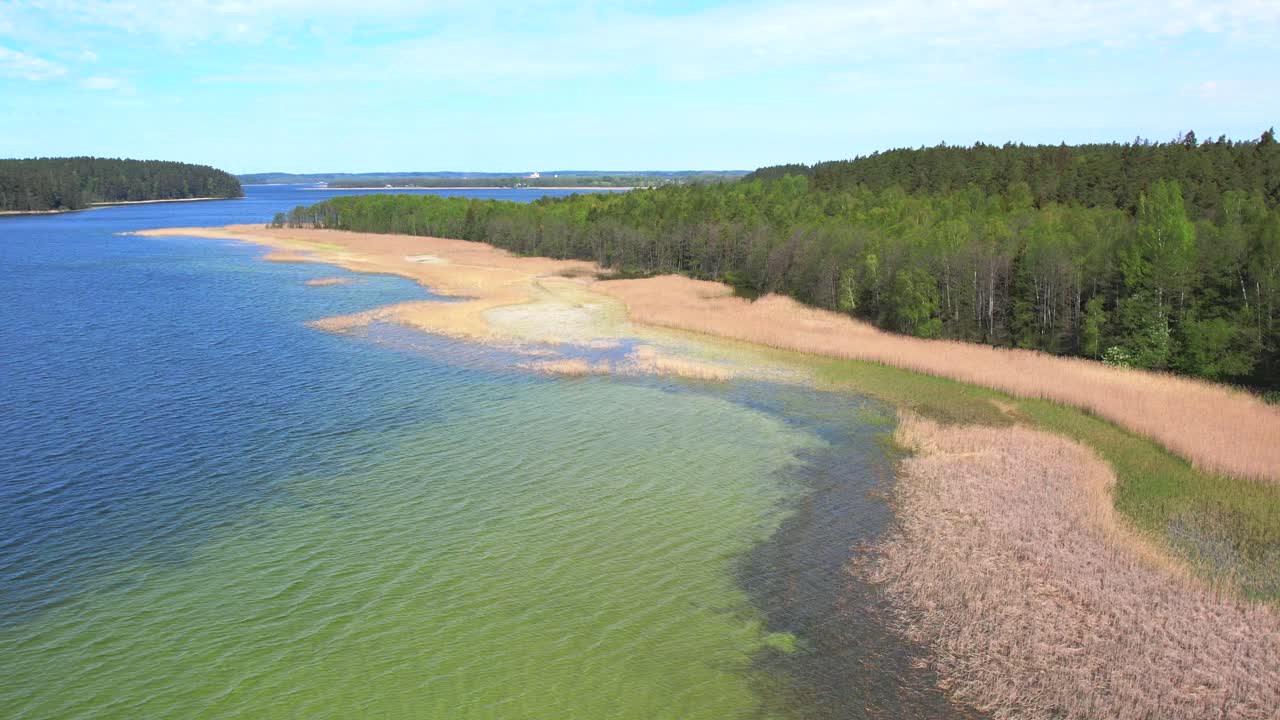 un lago con agua clara verde y una orilla de caña amarilla, disparo aéreo