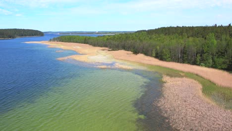 a lake with green clear water and a yellow reedy shore, aerial shot