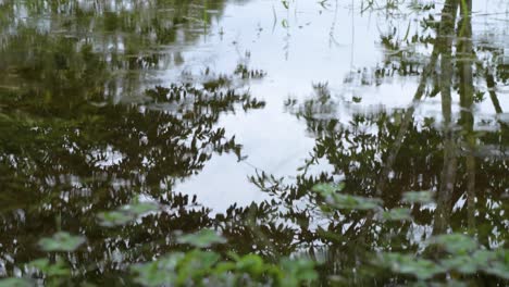 Gotas-Cayendo-Lentamente-Sobre-La-Superficie-De-Un-Lago-Tropical,-Después-De-Una-Fuerte-Tormenta