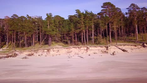 Vista-Aérea-De-La-Costa-Del-Mar-Báltico-En-Un-Día-Soleado,-Dunas-Empinadas-A-La-Orilla-Del-Mar-Dañadas-Por-Las-Olas,-Pinos-Rotos,-Erosión-Costera,-Cambios-Climáticos,-Tiro-De-Muñeca-De-Drones-De-Gran-Angular-Moviéndose-A-La-Derecha