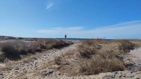 windy day on the sand dunes near beach