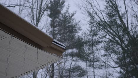 Slow-motion-look-at-a-mid-winter-snow-flurry