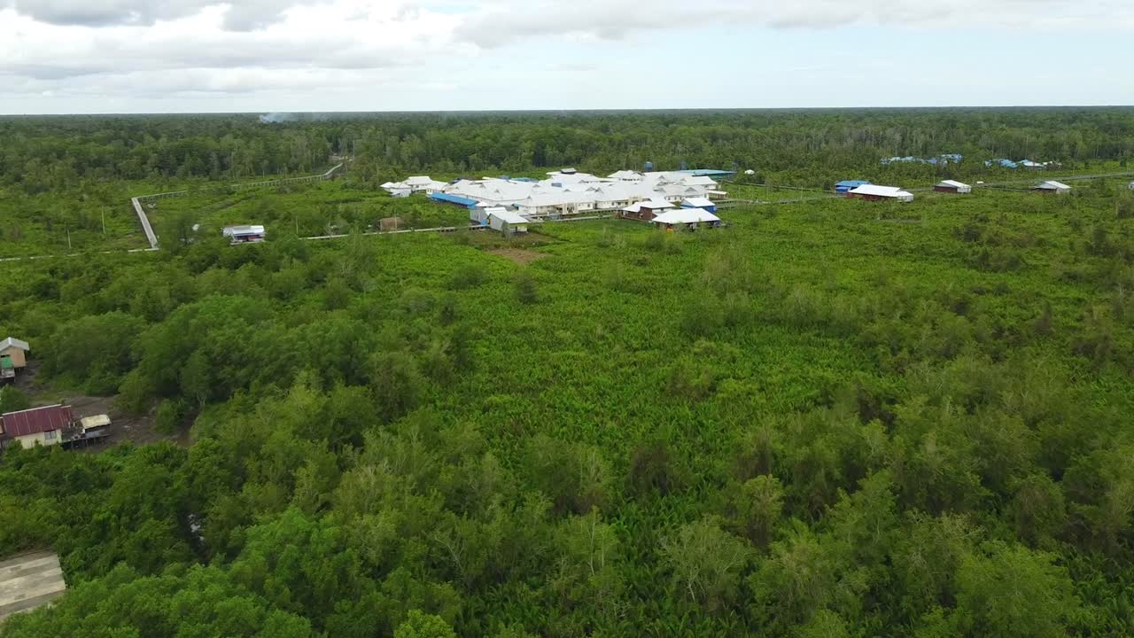 hermosa vista con un dron de la ciudad de agats asmat papúa con bosques y pantanos