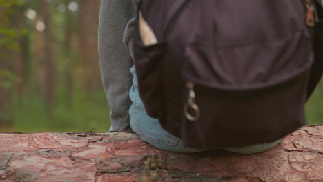 back view of hiker sitting on fallen tree in lush green forest, wearing gray sweater, light blue jeans, and backpack, immersed in natural surroundings