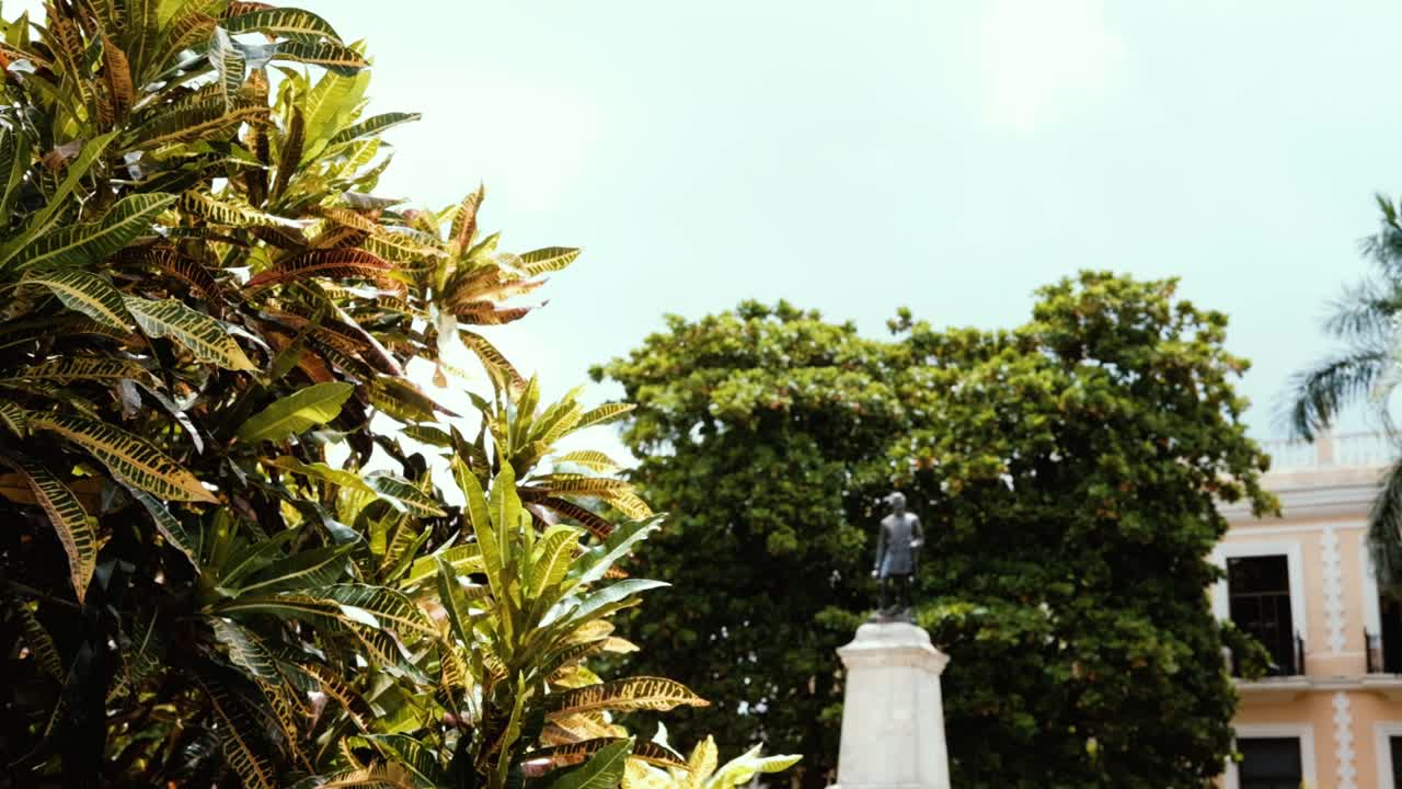 An obscure statue enveloped by vibrant green plants in M&eacute;rida, adding an air of mystery to the serene environment