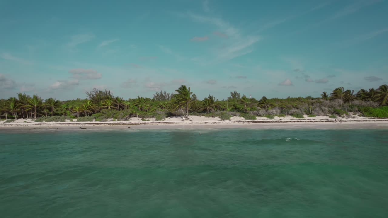 desde las playas de arena de la riviera maya hasta el mar sin límites, el dron captura la belleza de los árboles de la isla y la amplia vista del océano en una vista impresionante.