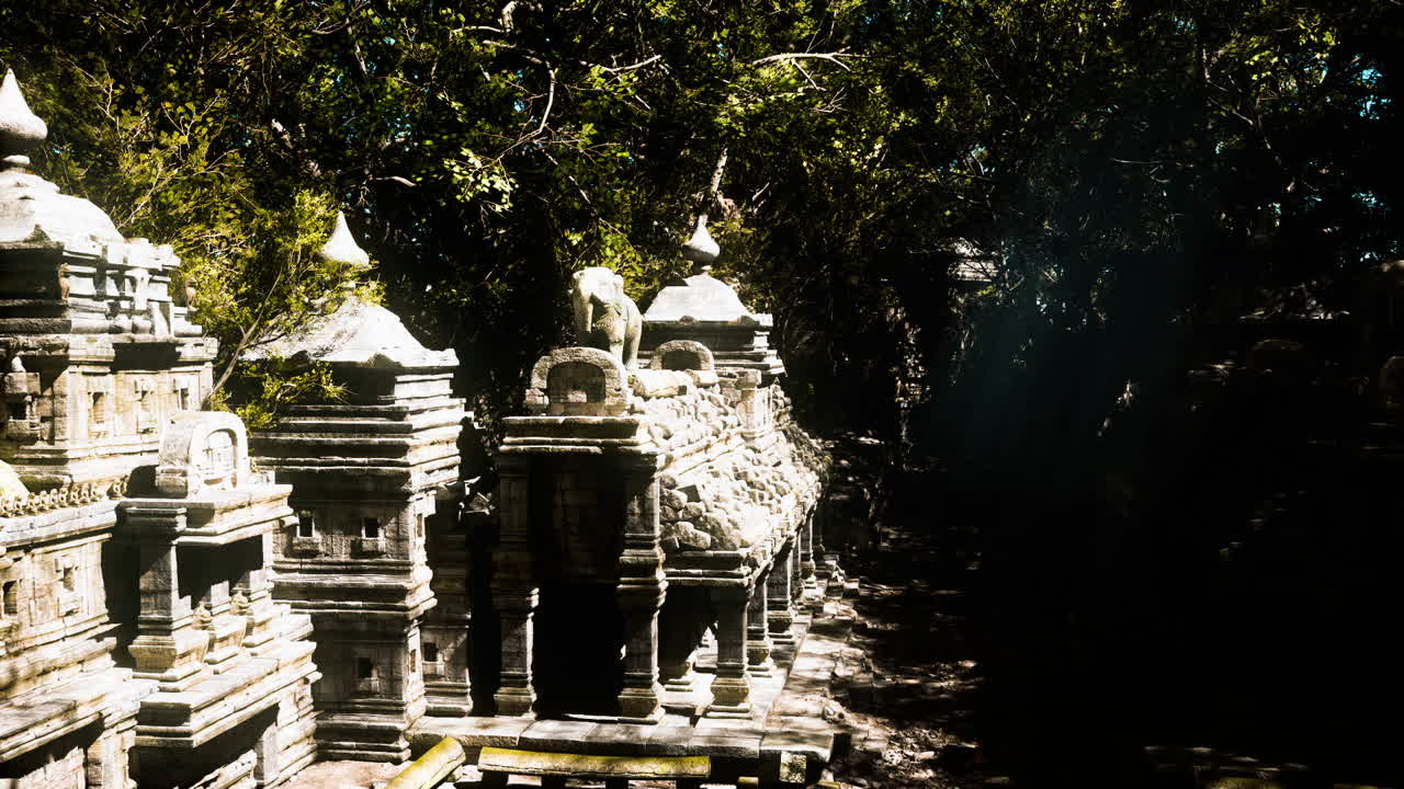 Ancient cambodian temple hidden within dense jungle foliage during daylight