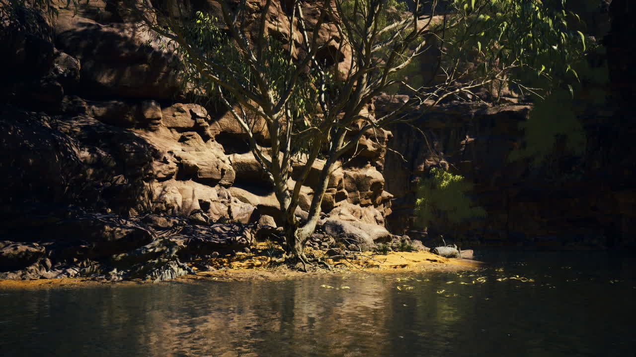 Lush tree by serene water surrounded by rocky cliffs at golden hour