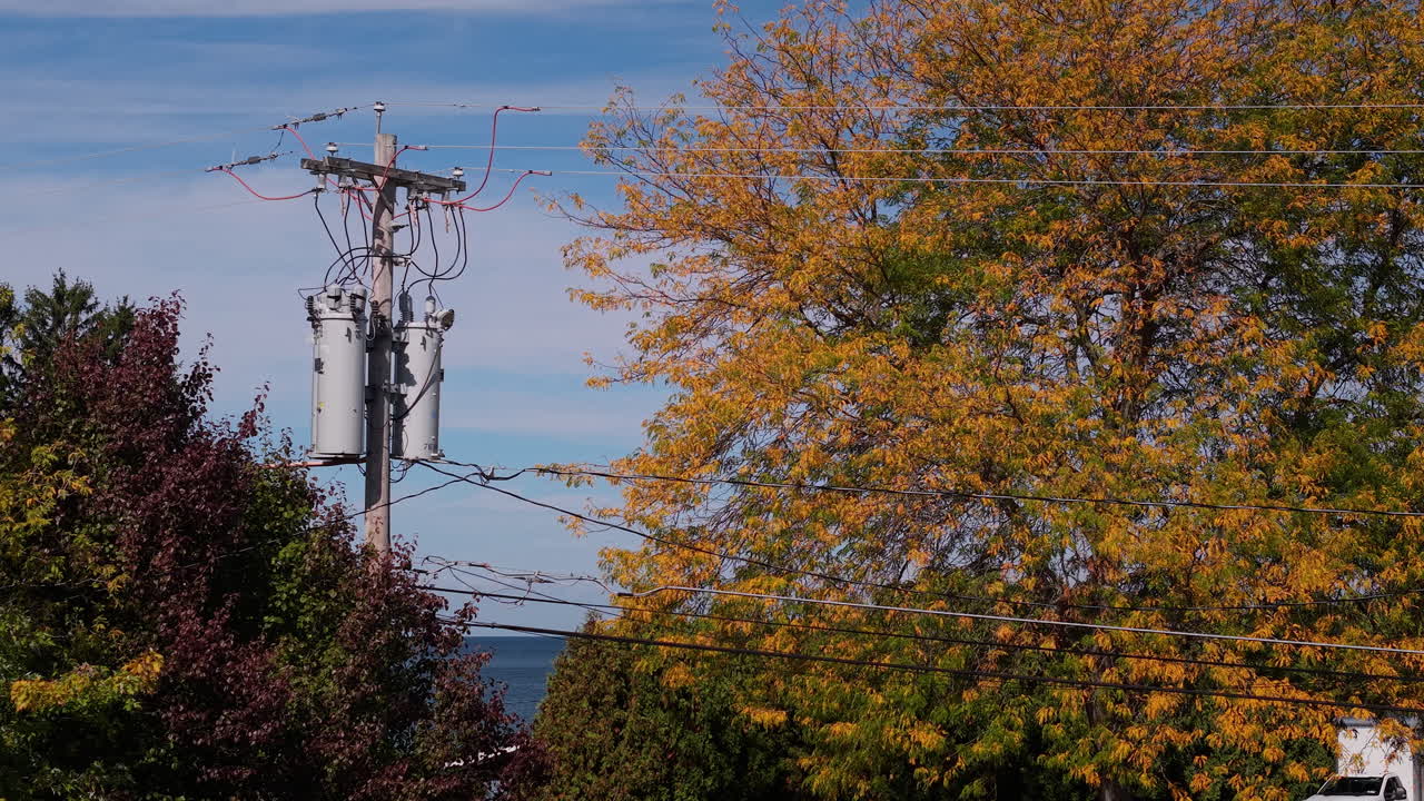 Utility Pole and Autumn Trees
