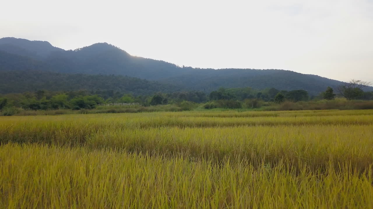 태국의 들판 위를 나는 공중