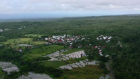 aerial of jungle village with flooded rice fields on cloudy day in lombok island