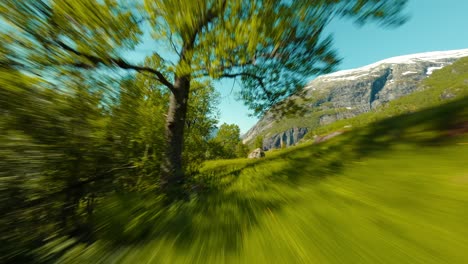 fpv drone flying through a field and then reveals a view of a norwegian fjord