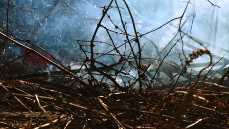 hot burning fire with pile of sticks and twigs and small flames burning below creating thick smoldering fog
