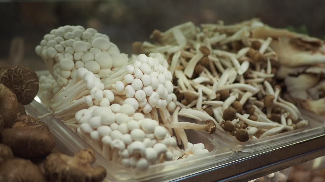 variedade de cogumelos