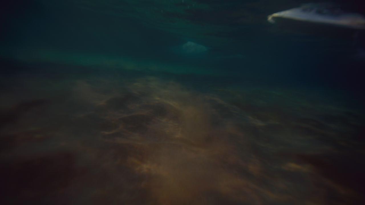 los rayos dorados de brillo del sol se extienden sobre la arena mientras el surfista de longboard se desliza a través de la parte superior de la ola remando