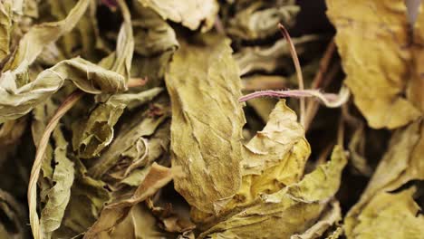 dried mint leaves close-up