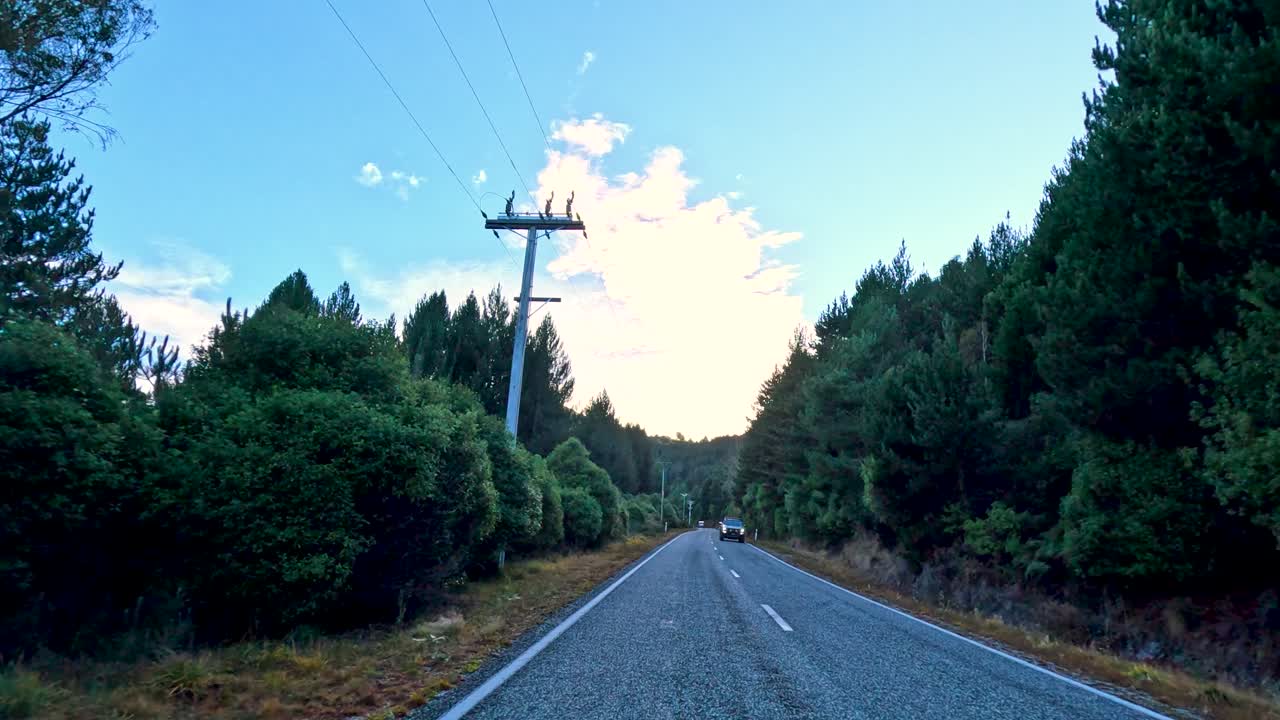 Vehicle travels along tree-lined rural road, natural lighting, steady forward camera movement, tranquil atmosphere