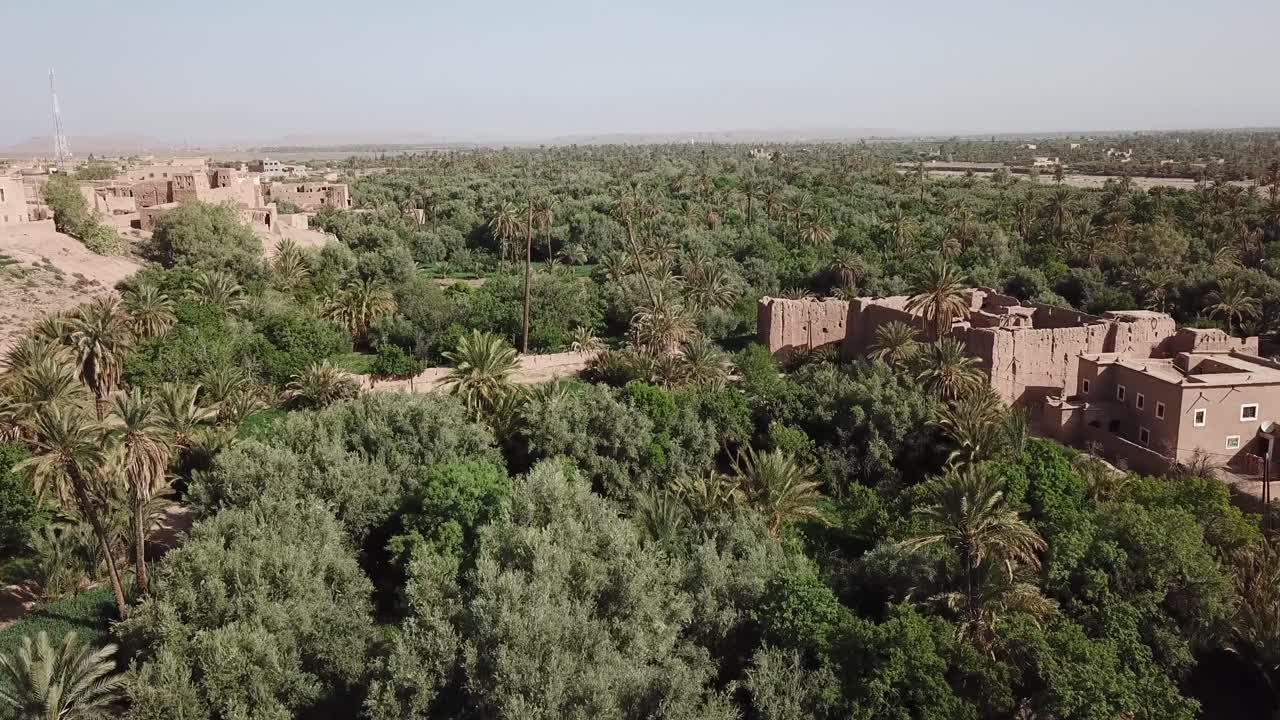 Ripresa aerea di una fitta oasi di palme verdeggianti che protegge case tradizionali in mattoni di fango. Il filmato cattura la vivace vegetazione e la vita rurale nel deserto del Nord Africa.