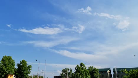 Birds-Flock-of-pigeons-soaring-high-in-cloudy-sky-making-morning-fresh-and-bright