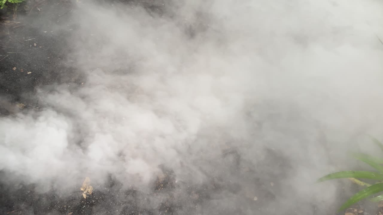 Dense white smoke spreads over dark garden soil, partially obscuring green foliage in daylight