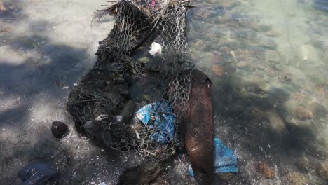 Trash-and-debris-in-the-ocean-near-Bastimentos-Island,-Panama