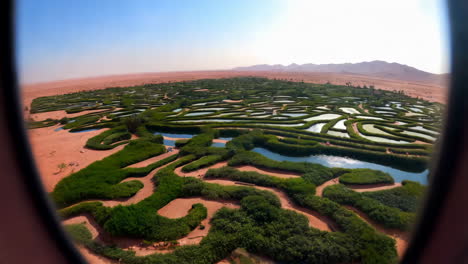 aerial view of a green labyrinth oasis in a vast desert