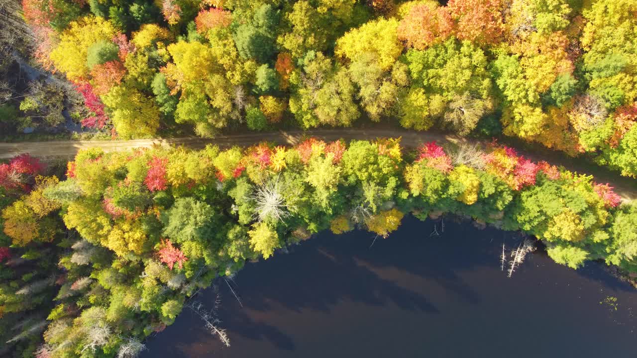 A river reflecting colorful autumn trees, aerial view