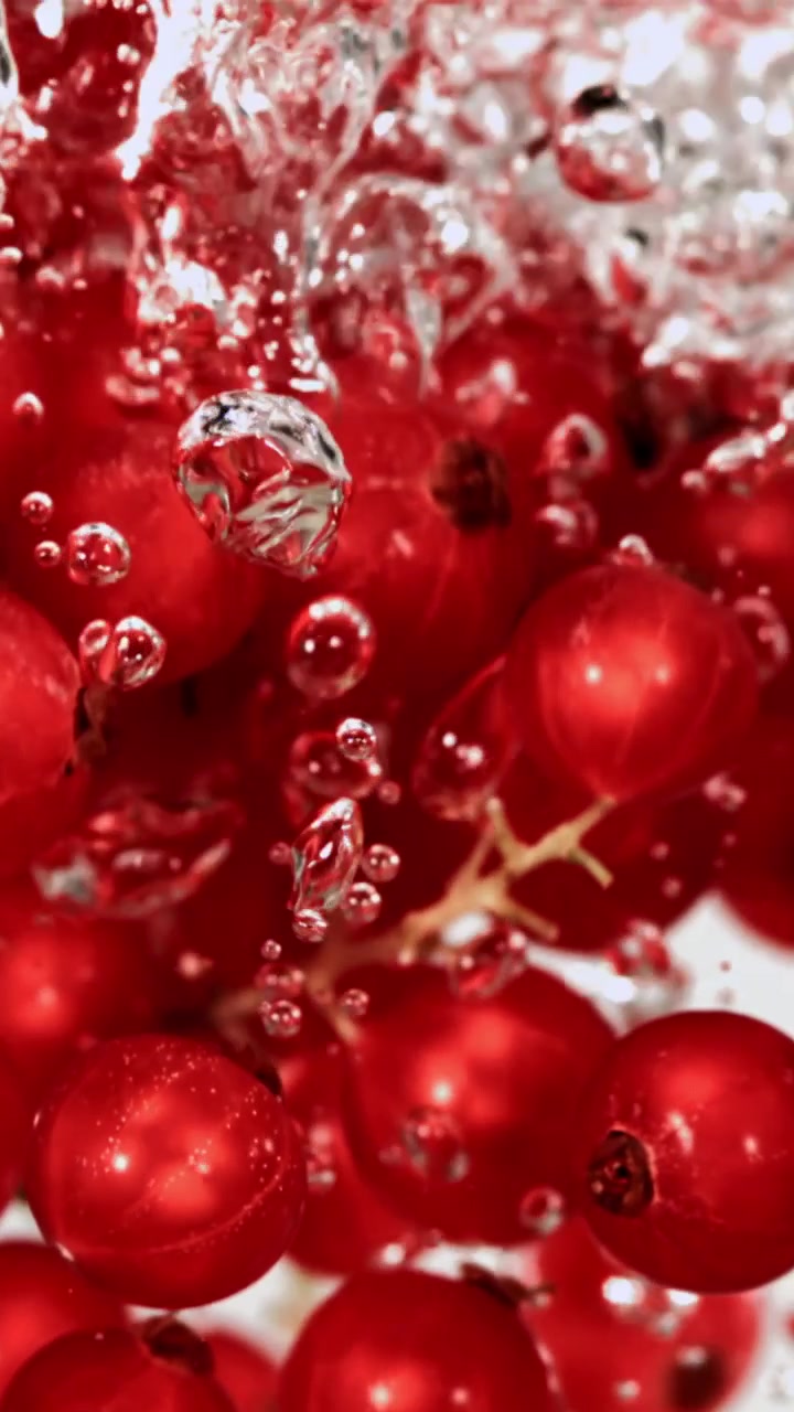 Fresh Red Currants Splashing into Water in Slow Motion