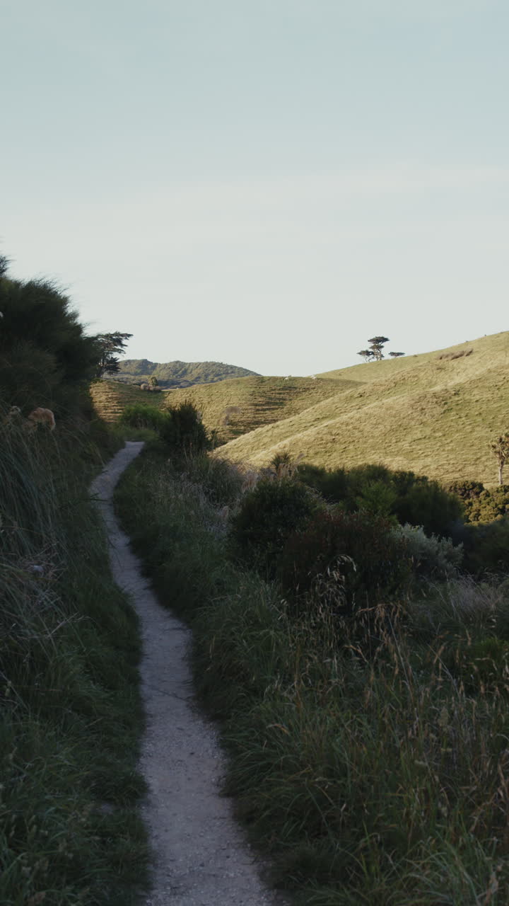 Scenic Country Path Through Rolling Hills