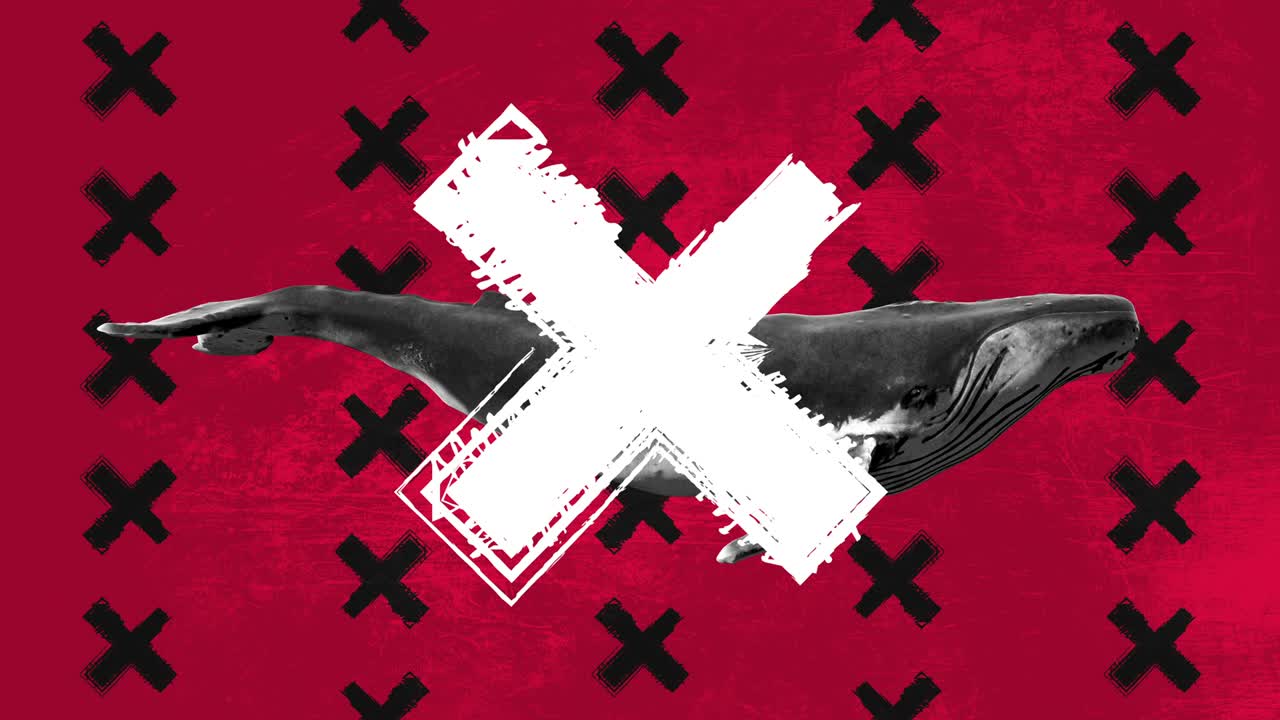 수영하는 파란 고래, 그룬지 드로우 모양의 추상 예술 개념, 현실적인 3d 캐릭터 동물, 크리에이티브 스 모션 스타일의 배경, 그래픽 다채로운 디자인, 만화 패션 루프 애니메이션.