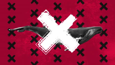ballena azul nadadora. concepto de arte abstracto con formas de dibujo grunge. animal de personaje 3d realista. fondo en estilo de stop motion creativo. diseño gráfico colorido. animación de bucle de moda de dibujos animados.