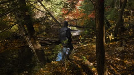 Man-in-Blue-Plaid-Shirt-Hikes-in-Amazing-Fall-Forest-Colors,-Handheld